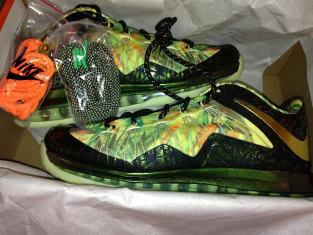 Nike LeBron X Floral