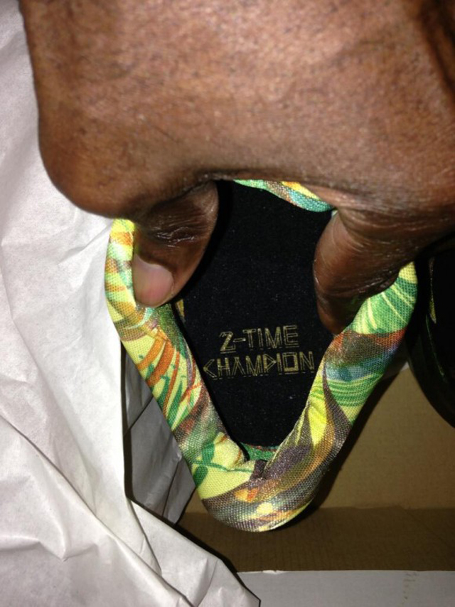 Nike LeBron X Floral