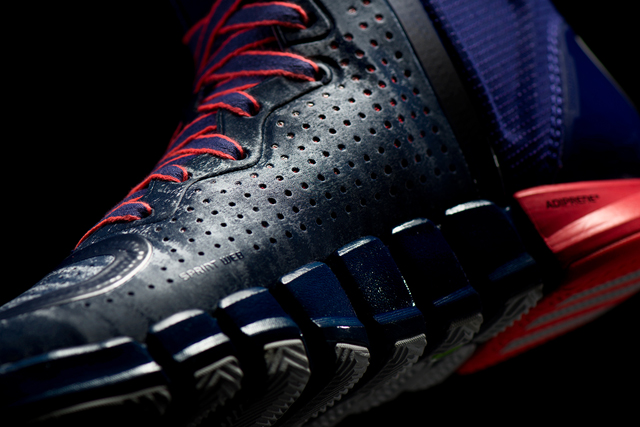 D-Rose-4-Michigan-Avenue-Detail-2-G66939