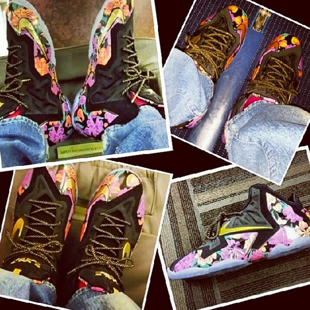 lebron-11-flowers-1