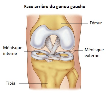 face-arriere-genou-gauche