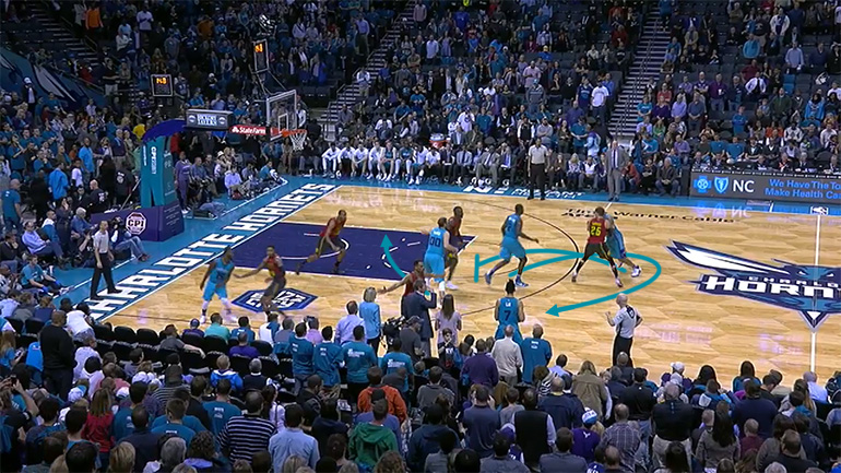 hornets