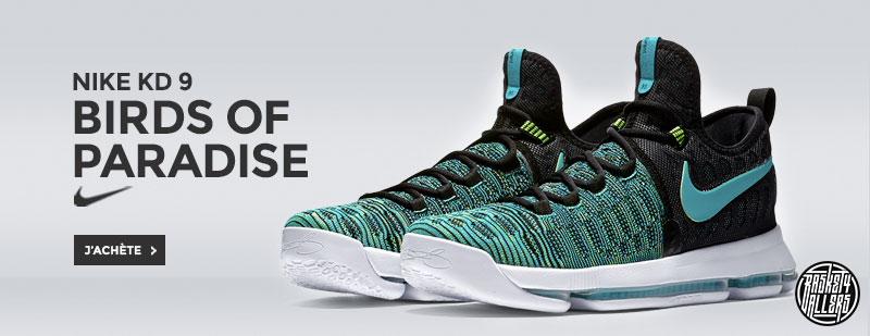 kd-9-birds-of-paradise