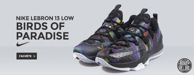 lebron-13-low-birds-of-paradise