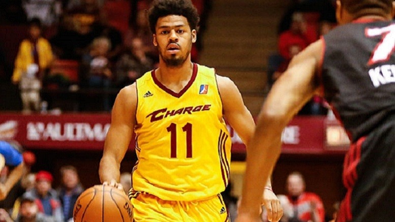 quinn cook