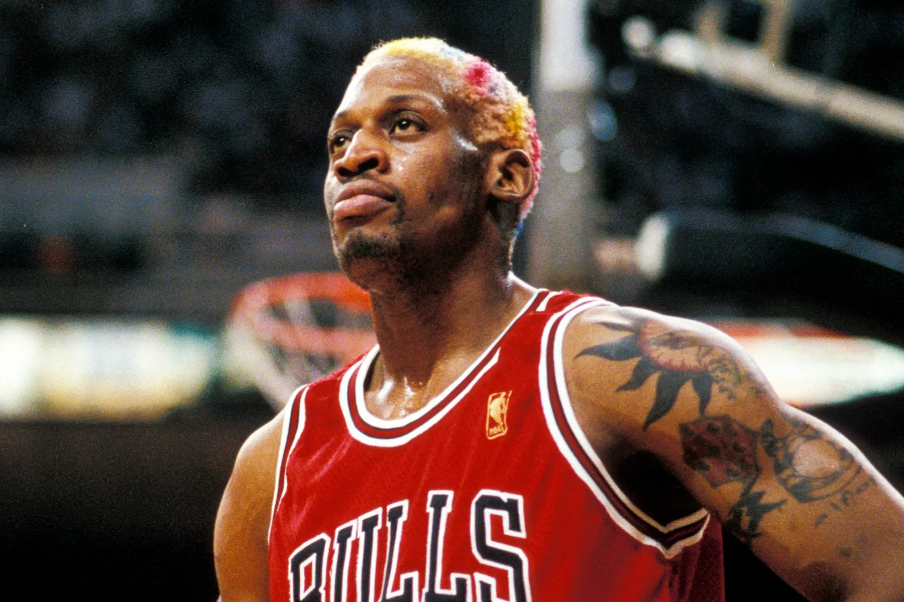 dennis rodman