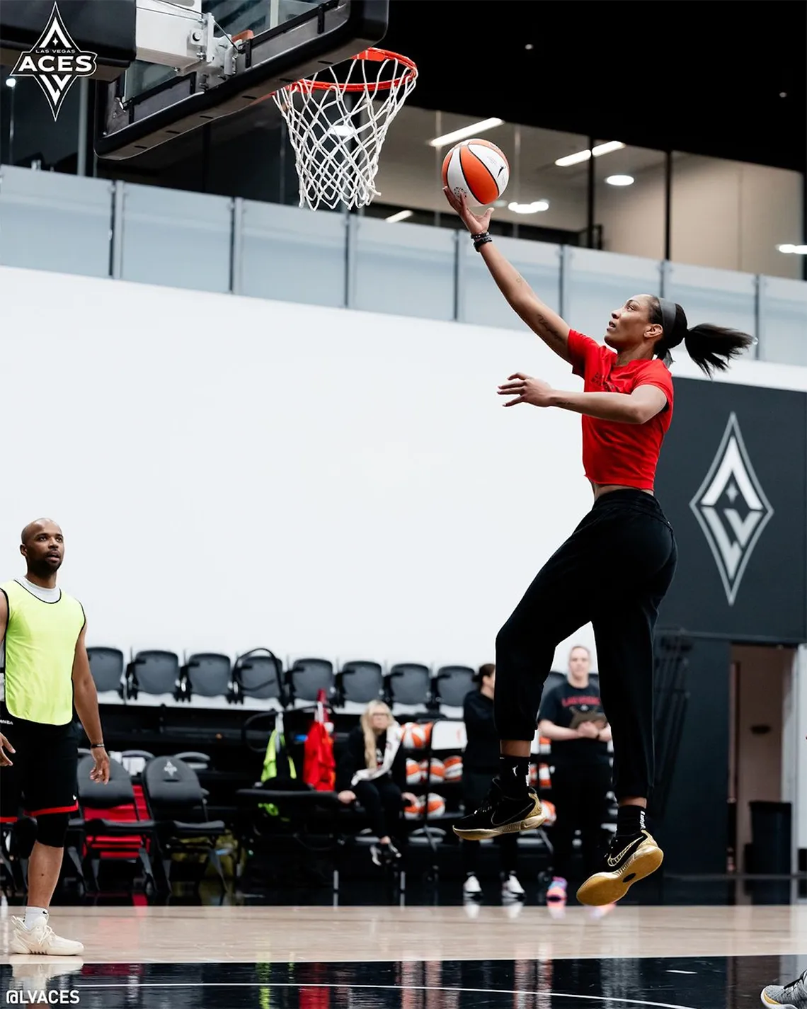 LeBron 21 pour A'Ja Wilson