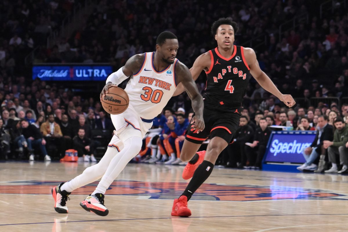 julius randle (knicks)