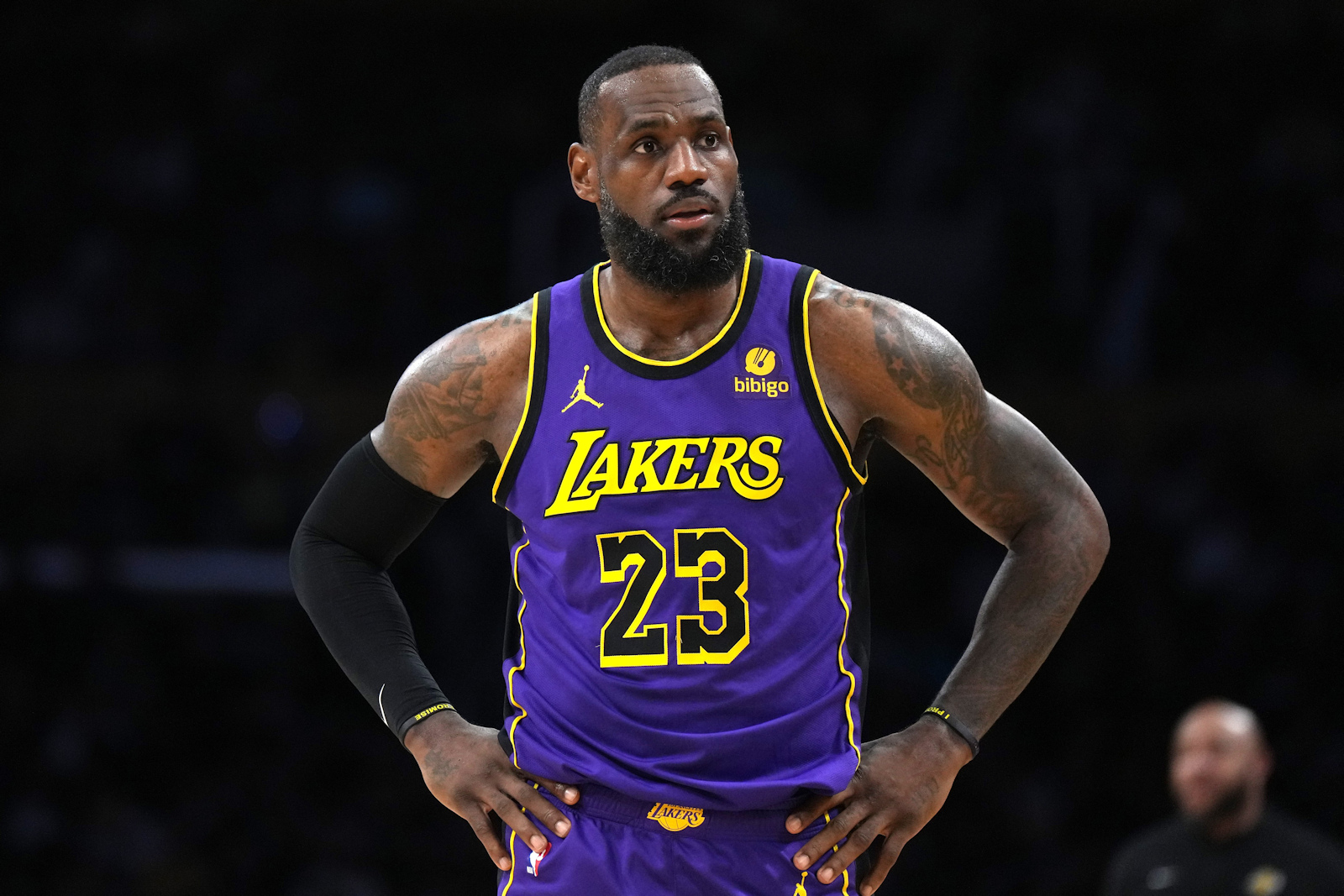LeBron James Lakers