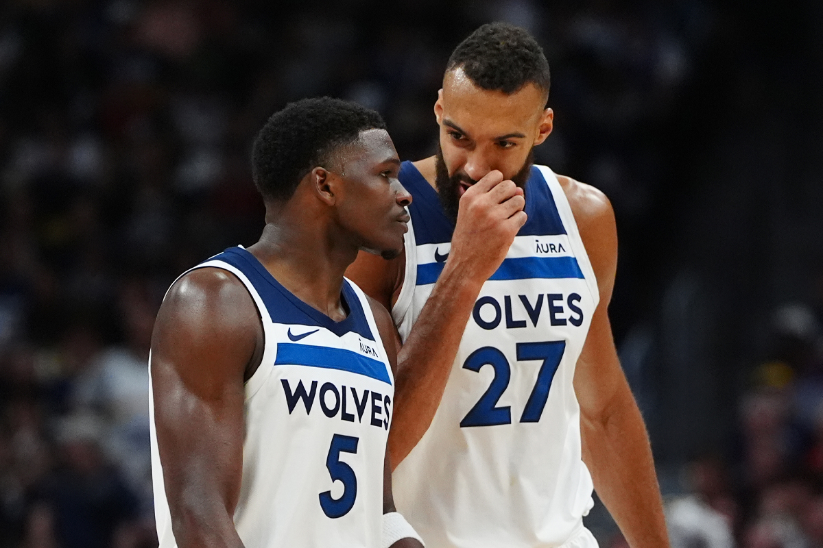 Anthony Edwards et les Wolves