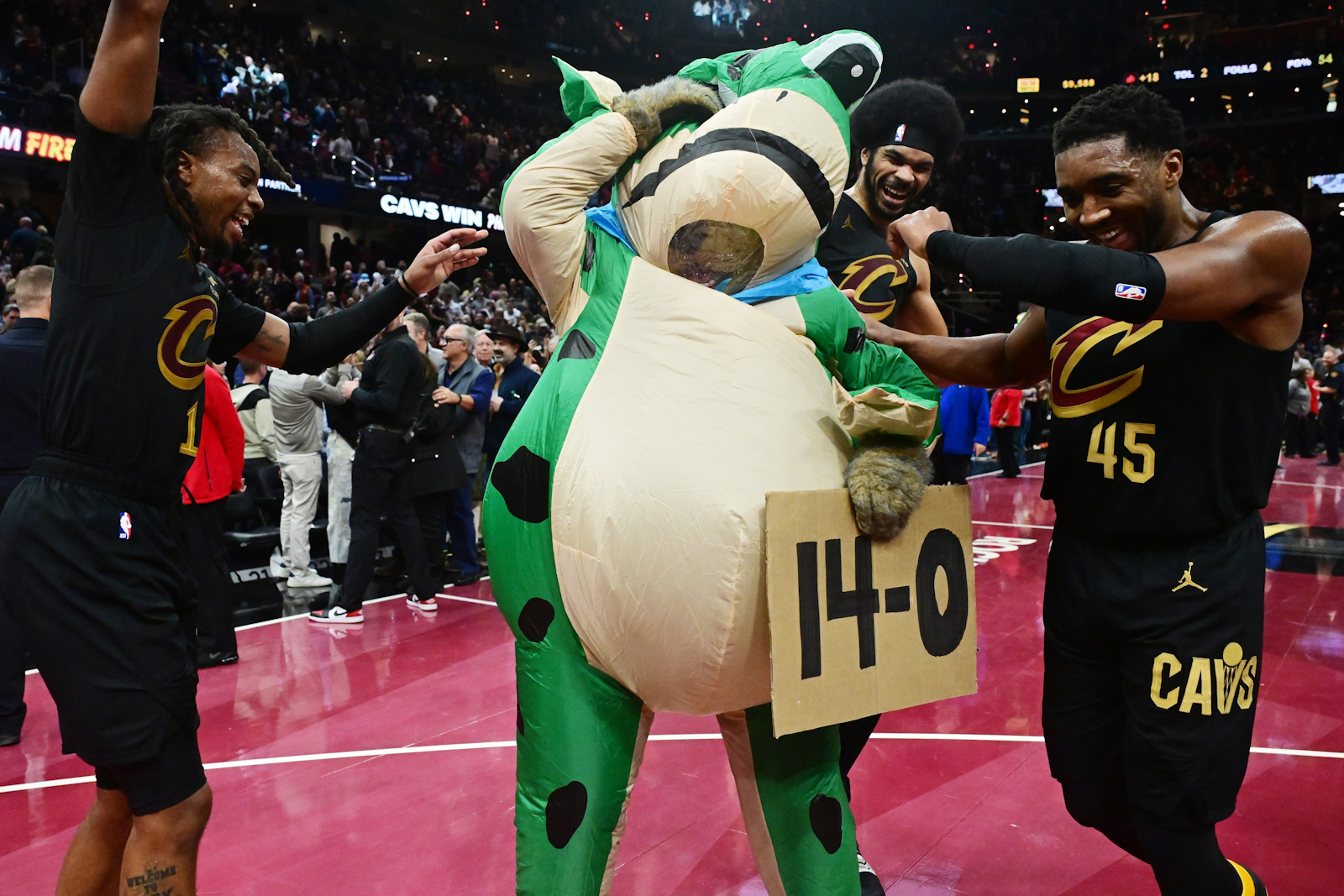 grenouille cavaliers