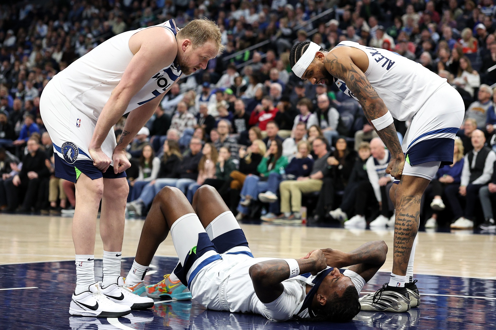 Des Wolves fatigués