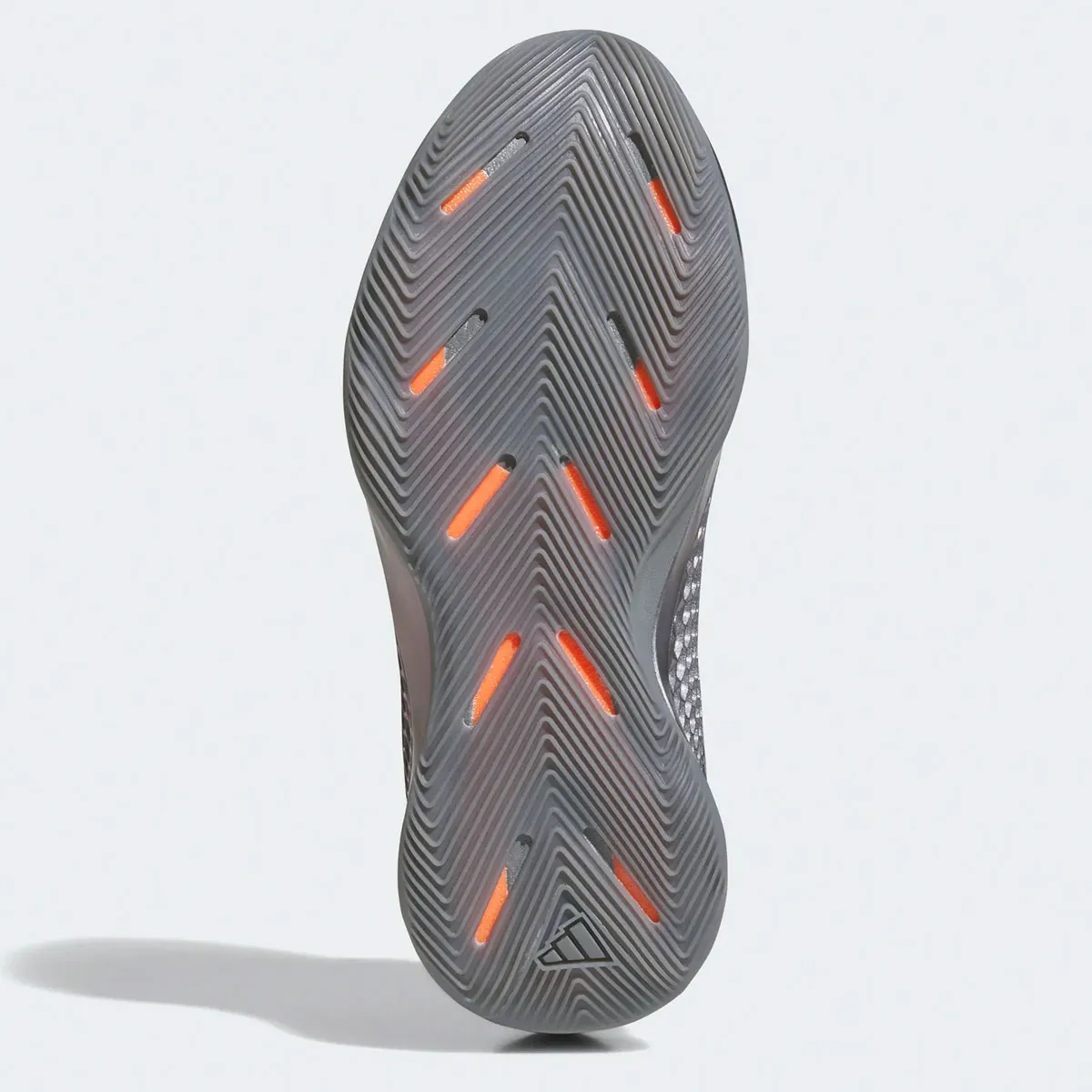 La A.E. 1 d'Anthony Edwards