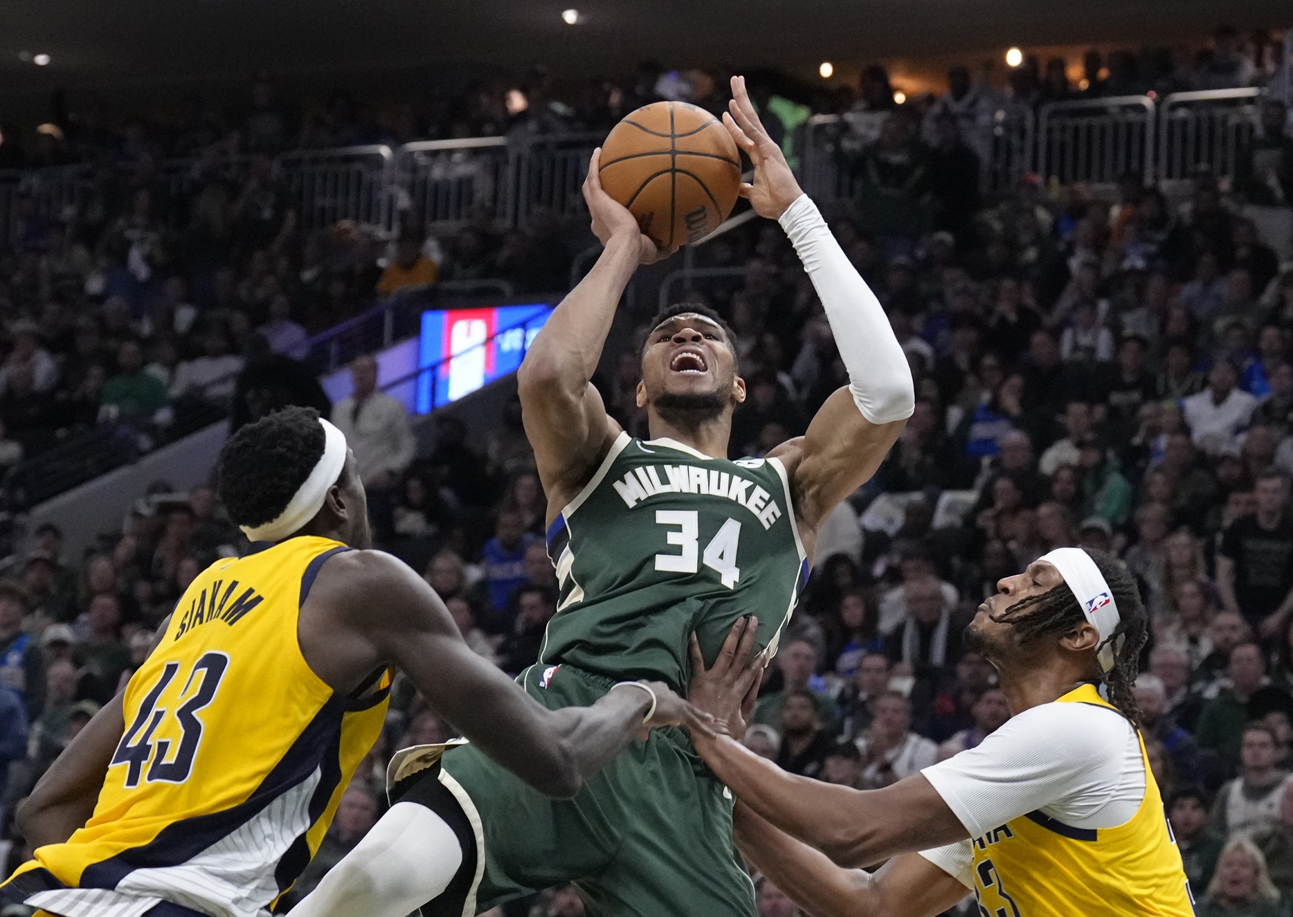 Giannis Bucks