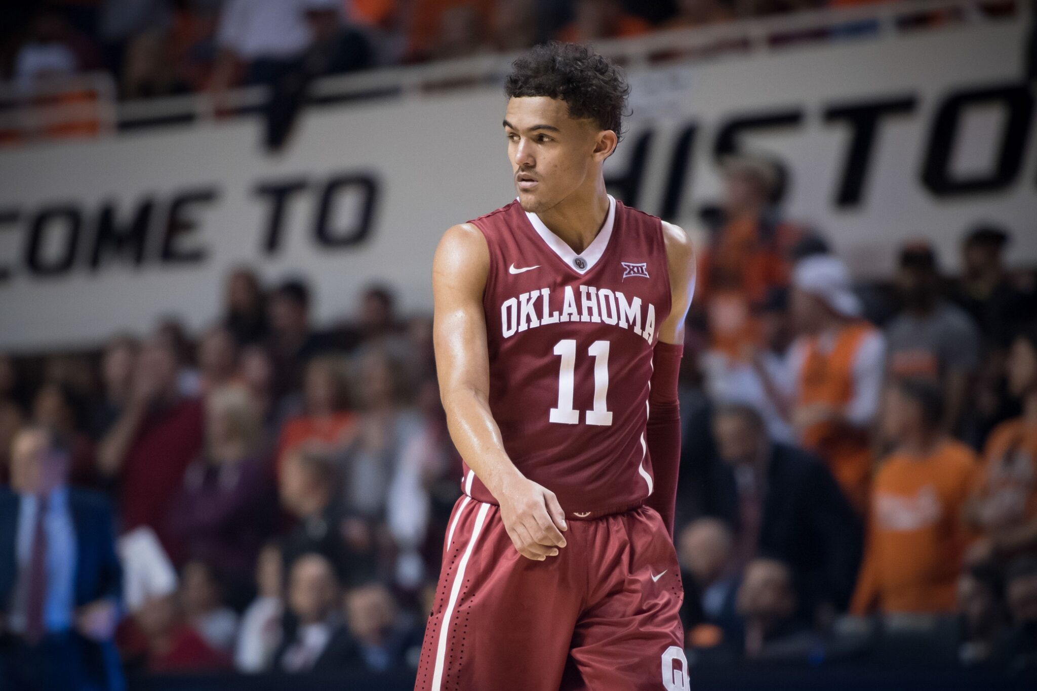 trae young